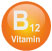 B12 Logo