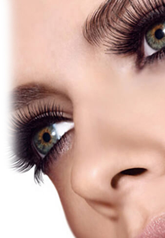 Eyebrow & Eyelash Treatments